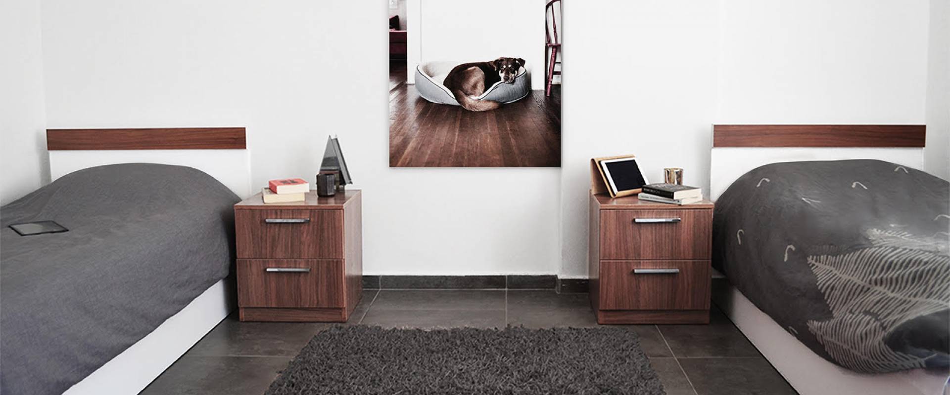 lorem ipsum dolor sit